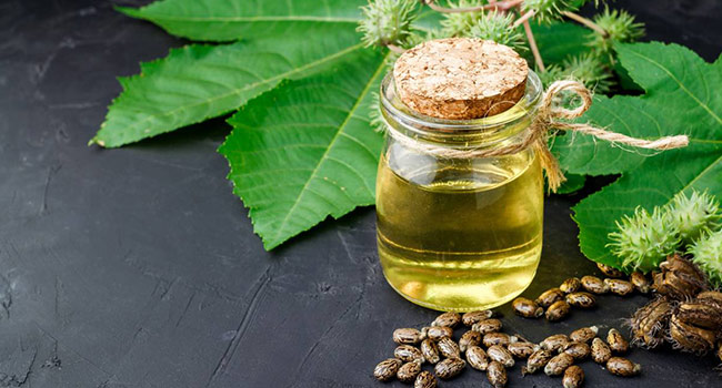 Les multiples bienfaits de l'huile de ricin